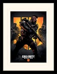 Call of Duty: Black Ops 4 (Trio Monté & Impression encadrée