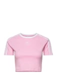 3 S Baby Tee *Villkorat Erbjudande Crop Tops Short-sleeved Rosa Adidas Originals adidas