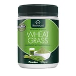 Lifestream Organic Wheat Grass Leaf - 250g Powder