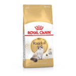 Royal Canin Ragdoll Adult