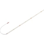 Grazia LED Strip vit 24W 3350lm 3000K CRI80 5M 24V IP20