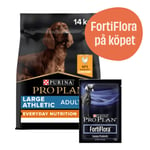 Large Adult Athletic Everyday Nutrition hundfoder + 7-pack FortiFlora - Torrfoder 14 kg + 7-pack FortiFlora