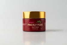 Moroccan Prickly Pear Night Cream with Argan Oil (50G) |100% Natural |Soothing |