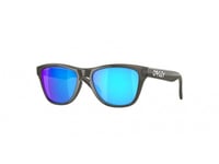 Oakley Sunglasses OJ9009 FROGSKINS XXS  900902 Grey light blue Child