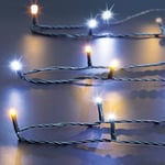 Feeric Light and Christmas - GUIRLANDE EXTERIEURE 10M 500L BFBC 8F T