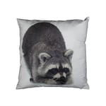 Prydnadskudde för barn - 30x30 cm - Tvättbjörn - 2-i-1 design - Borg Living