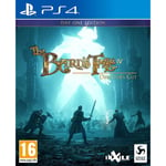 The Bard's Tale IV 4 - Day One Edition for Sony Playstation 4 PS4 Video Game