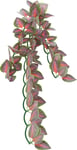 Trixie Reptiland Silke Hengeplante Folium Perillae 20x50cm - Reptil Terrarieinteriør Terrarieplanter og kaktuser Grønn/Rød Stoff