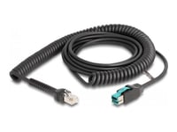 Delock - Usb-Kabel - Usb Pluspower (Han) Til Rj-50 (Han) - Usb 2.0 - 12 V - 3 M - Snoet - Sort