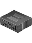 Scart adapter