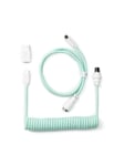 Coiled Aviator USB-C Cable Straight - Mint - Upgrade Accessories - Grøn