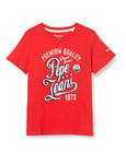 Pepe Jeans Men's Jordan T-Shirt, 244mars Red, 6
