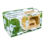 Mini Ant House Ant Nest Ant Farm Acrylic Plaster, Suitable For Young Queen And Small Colony Villa Farm Ant House (Transparent Color) (Color : Yellow)