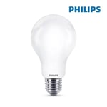 LED-lampa E27 13W Rund A70 motsvarande 104W - Day White 6500K - 93005