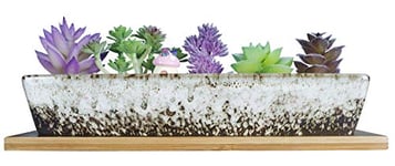 Pots de Plantes succulentes rectangulaires en céramique de 9,8 Pouces de Long avec Drainage, Petit Pot de Cactus à Fleurs avec Plateau Bonsai Plant Window Box pour intérieur/extérieur