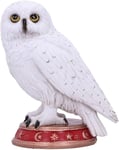 Nemesis Now Wizards Familiar Owl Figurine, White, 10cm