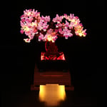 YAKIA LED Light Set Lighting Kit Compatible with Lego Bonsai Tree 10281 (Lego Model NOT Included)