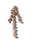 Silk Hanging Plant Folium Perillae ø 20x30 cm