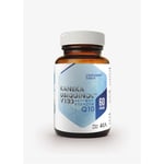 Hepatica - Kaneka Ubiquinol V100 Active Coenzyme Q10, 100 Mg (60 Caps)