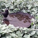Västanvinden Bird fågelbad järn brun Ø20 cm