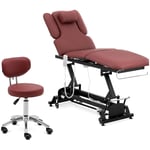 physa Massasjebord og rullestol med ryggstøtte - bordeaux