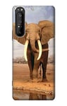 African Elephant Case Cover For Sony Xperia 1 II