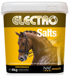 Elektrolyter NAF Electro Salter Pulver 4 kg