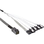InLine 27630 A Câble Mini SAS HD SFF 8643 sur 4 x SATA avec Side de Bande 0,5 m