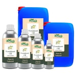 Bulk Organic Zing Frangipani (Plumeria Rubra) Essential Oil -Wholesale Prices