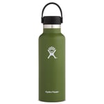 Hydro Flask 18 oz Standard Mouth - Gourde isotherme 532 mL Olive 18 oz (532 ml)