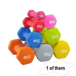 lINOC [1 pc] Exercise & Fitness Dumbbell Hand Weights Home Gym Barbell,6kg