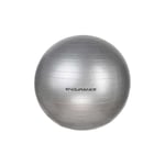 Endurance Gym Ball Ø 55cm