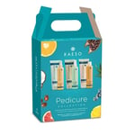 Kaeso Pedicure Kit