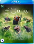 - Big Little Journeys Blu-ray