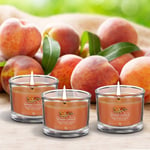 Yankee Candle Fresh Peach Set of 3 Soy Wax Scented Tealight Votive Jar Gift Pack