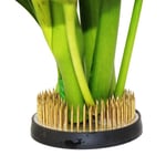 Rund Blomhållare / Blomsterfakir med Gummibas - Blomdekor - Svart Svart