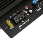 Fk 206 12V Digital Amplifier Board High Power Sub Woofer Amplifier Board Mod GSA