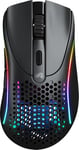 Glorious Model D2 Gaming Mouse Wireless