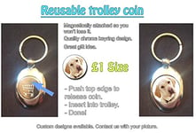 DottsMusic Labrador Retriever - Pet/Dogs Lovers Shopping Trolley Keyring - Token (£1 Coin)