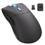 Glorious Model D Pro Wireless Gaming-Maus - Vice - Forge