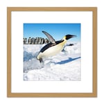 Michel Emperor Penguin Antarctica Jumping From Water Photo 8X8 Inch Square Wooden Framed Wall Art Print Picture with Mount