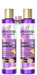 2 X Pantene Pro V PURPLE STRENGTH Shampoo 225ml Anti Brassiness For Blonde Hair