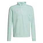 adidas Unisex Kids Sweatshirt Ent22 TR Topy, Clemin, HC5056, 164 EU