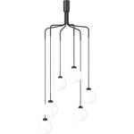 Apiales Cluster 6 Ljuskrona, Satin Black / Opal