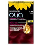 Garnier Olia 6.66 Vivid Garnet Red No Ammonia Permanent Hair Dye