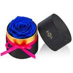 NUPTIO Royal Blue Preserved Roses Mini Box of Roses Infinity Rose Flower That Last 2-3 Years, Real Flowers for Valentine's Day Mother's Day Birthday Christmas Anniversary Wedding Thanksgiving