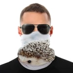 Fedso Hedgehog Face Protection Variety Head Scarf Balaclava Scarf Bandana Gaiter Headwear Outdoor Neckwear Breathable UV Protection