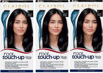Clairol Nice'n Easy Root Touch-Up Permanent 2 Black Hair Dye x 3