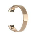 Magnetic Loop Strap Watch Band Stainless Steel Gold