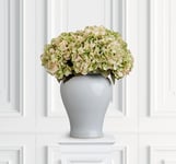 Hortensia snittblomma grön/rosa